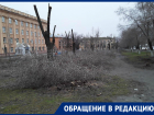 Студентов Волгоградского колледжа газа и нефти оставили без зеленого парка