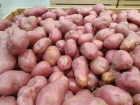 В Волгограде ожидают повышение цен на картофель до 100 рублей