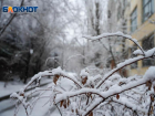 Снег с порывами ветра до 23 м/с ожидается в Волгоградской области
