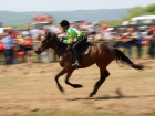 Назван победитель областных конно-спортивных игр в Волгограде