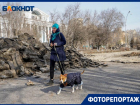 Светящиеся одуванчики и живая изгородь: в объективе волгоградского фотографа начало благоустройства площади у «Царицынской оперы»