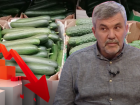 Вымирание региона на примере огурцов за 440 рублей объяснил волгоградский фермер
