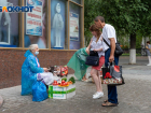 В Волгоградской области продолжают дорожать овощи и стройматериалы 