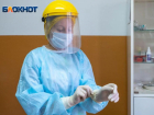 Более 3 тысяч волгоградцев обратились к медикам с подозрением на бешенство 