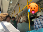"В космос летаем, а кондиционеров в автобусе нет": волгоградцы требуют прохлады в общественном транспорте летом 