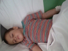 Четырехлетний мальчик умирает от укуса гадюки в Волгограде