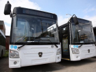 В Волгограде на автобусный маршрут №98 добавили три машины