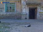Два волгоградских поселения закрыли на карантин из-за смертельной болезни