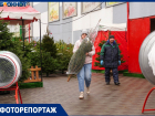 Отдать 30 тысяч за новогоднюю пихту готовы жители Волгограда: «Мы не богачи, это база»