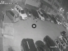 Бродячие собаки искусали припаркованный автомобиль в Волжском