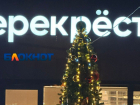 Первую новогоднюю ель установили в Волгограде