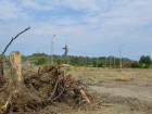 Жители Волгограда назвали варварством вырубку парка сталинградских вдов