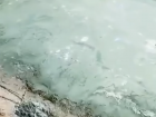 Под Волгоградом водохранилище поменяло цвет и засмердело