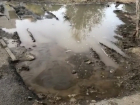 Коммунальный беспредел в Волгограде: вода два дня бьет ручьем из-под земли и всем плевать