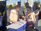 Около 560 тысяч подписей собрала ЛДПР в поддержку семей — к кампании присоединилась Волгоградская область