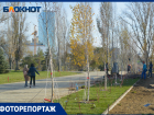 Пятиметровые деревья и новые дорожки: фотограф показал, как меняется сквер Пахмутовой в Волгограде