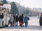 В Волгоградской области вводят QR-проезд в общественном транспорте