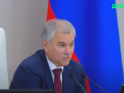 Председатель Госдумы вступился за электротранспорт Волгограда 