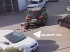 Внедорожник сбил мужчину во дворе ЖК Grand Avenue: видео