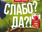 Посылающую на шашлык рекламу кетчупа в Волгограде признали неэтичной