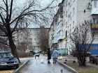 «Привезли еще одну размером с пони, чуть не разорвали ребенка»: собаки терроризируют поселок в Волгограде