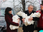 Волгоградские врачи спасли новорожденных тройняшек