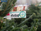 Новогоднюю охоту за елочными дровосеками с БПЛА объявили в Волгограде 