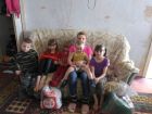 Сироту хотят лишить шестерых детей из-за жутких условий в квартире в Волгограде