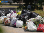 В Волгоградской области провалили планы по переходу на раздельный сбор мусора