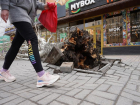 МЧС объявило экстренное предупреждение в Волгоградской области 