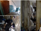 Трупы бомжей, фекальный бадминтон и гроздья тараканов: видео из треш-квартиры Волгограда