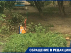 Уничтожение деревьев близ ЦПКиО в Волгограде попало на видео