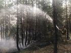 Под Волгоградом горит 200 гектаров леса: фото и видео