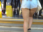 Толстая девушка в откровенно коротких шортах вызвала негодование волгоградцев