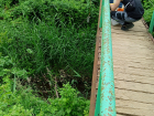 Волгоградский водоканал заплатит более 2,5 млн за затопление реки фекалиями