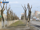 Волгоградских чиновников пригласили на прогулку по благоустроенному ими городу в сорокаградусную жару