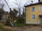 В Волгограде во время шторма падают деревья и обрывают провода 