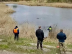 Водолазы ищут в реке под Волгоградом пропавшего без вести