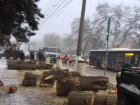 В самом центре Волгограда власти варварски вырубают деревья
