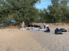 Волгоградцы снова сфотографировали огромные залежи мусора на бесплатном пляже на Бобрах