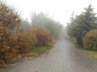 Плюсовая температура и туман вернутся в Волгоград на выходных