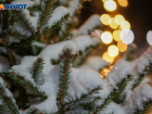 Волгоградские родители взбунтовались против перспективы продления новогодних каникул в школах