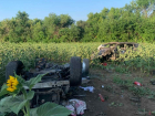Два человека погибли в разорванной Toyota в Волгоградской области: видео