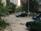 Упавшая ветка дерева и оборванный электрокабель заблокировали въезд во двор на севере Волгограда