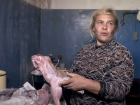 51-летняя жительница Волгограда, поедающая собак, не против перейти на людей