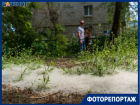 Белая метель в мае: Волгоград встречает «пуховую атаку»