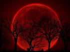 Предвещающую конец света «кровавую» Луну волгоградцы увидят 28 сентября