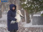 Каким будет последний день зимы в Волгограде рассказали синоптики