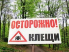 В Волгограде в три раза выросло количество случаев укуса клещами