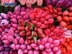 Подорожание тюльпанов до 200% ожидают в Волгограде к Восьмому марта